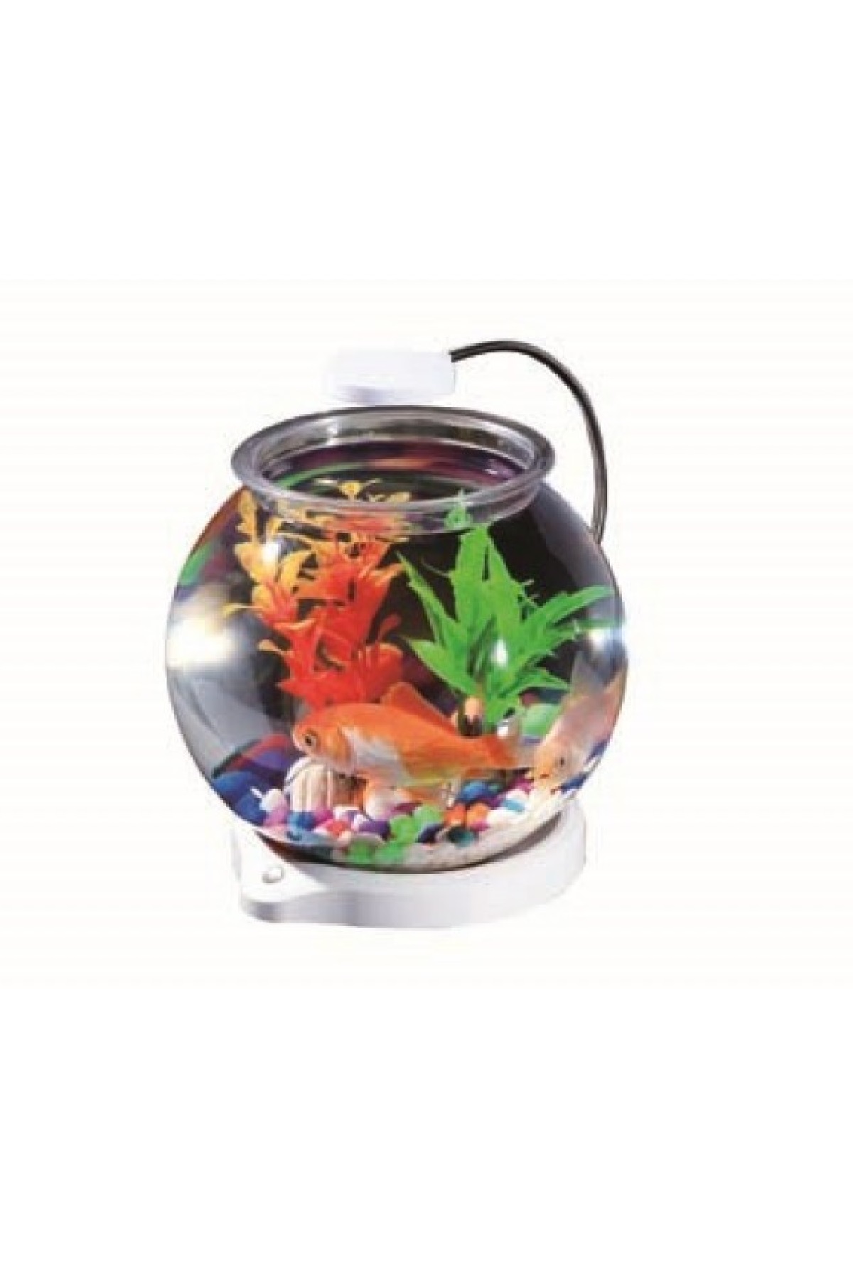 Durable Plastic Tanks & Bowls for Easy Aquatic Keeping
