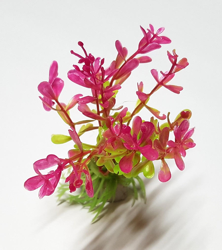 Fish Bazaar Pasir Ris Decorative Aquarium Plant DAP52407