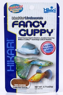Hikari Fancy <em>Guppy</em>