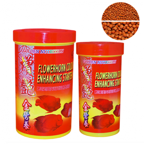 HH- Flowerhorn Color Enhancing Starter Meal