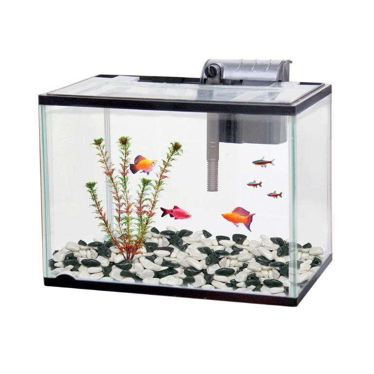 30 gallon fish tank hotsell starter kit