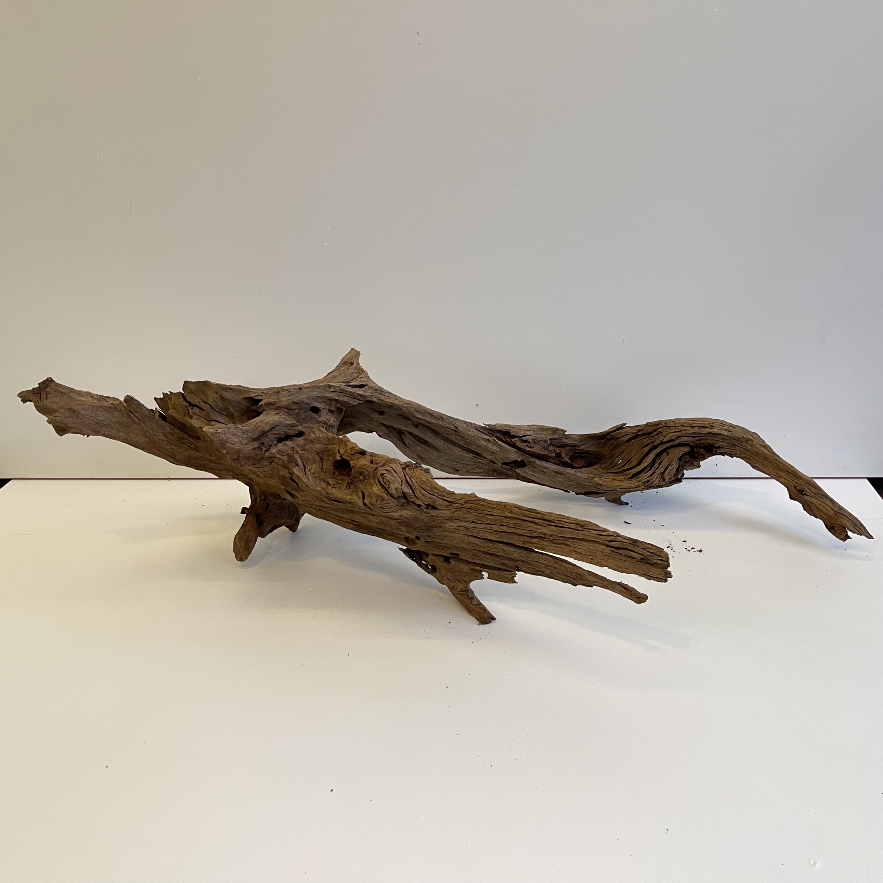 Buy Malaysian Driftwood (12) 90 x 15 x 15 cm, Fish & Decorative